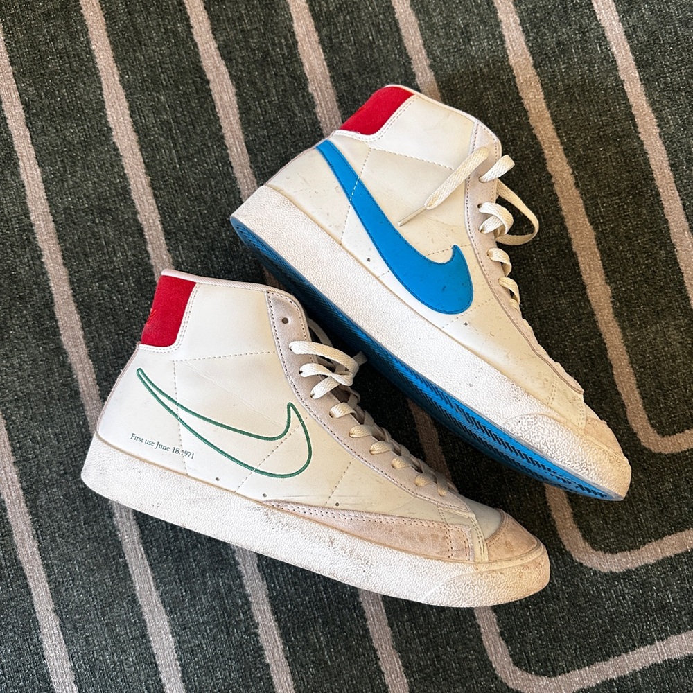 Nike dunks size 10